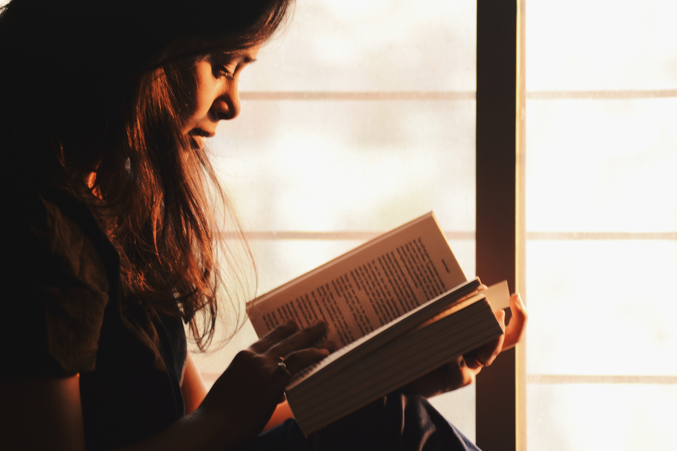 Woman Reading a Book Beside the Window